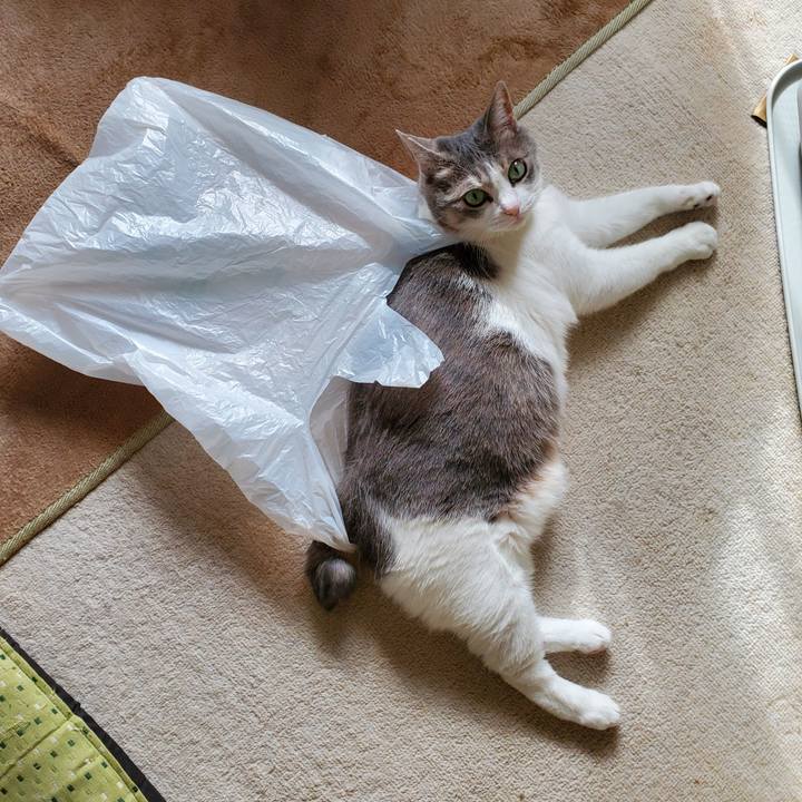 33483c55 cf2d 45ad a62b fde6453316a6 1749700808321