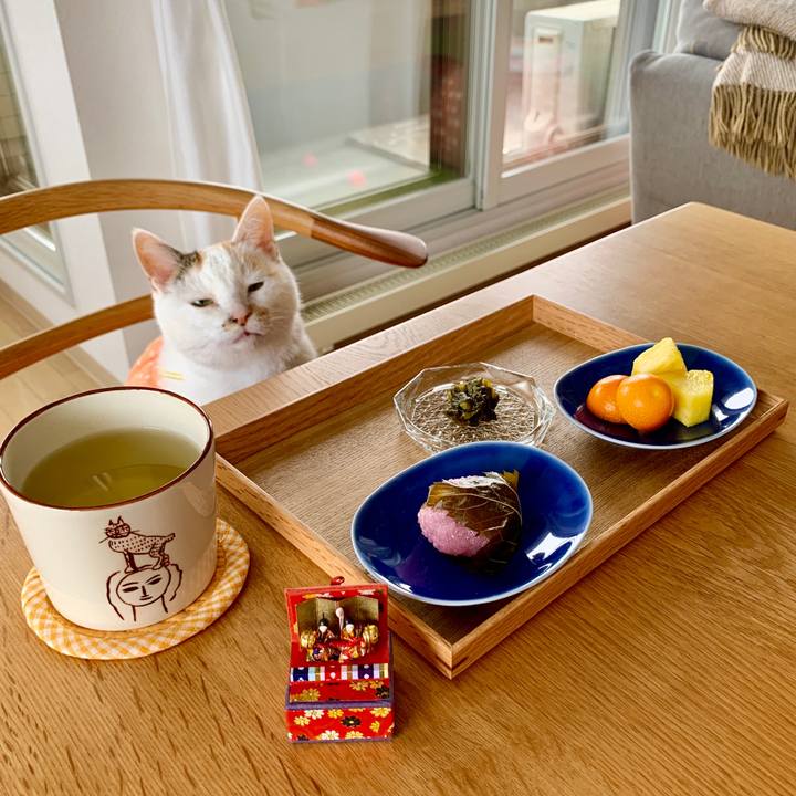 33485ce4 7793 43cf 9f0d 092375786c7d 1583219414491