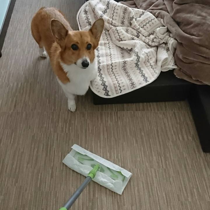 3348797f 595e 4564 a738 c5ff8683303d 1544937303906