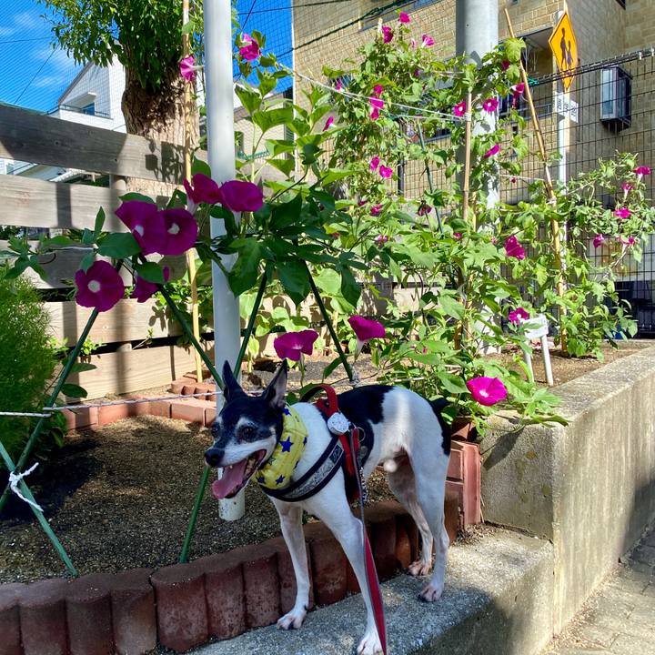 3348aa8a 497c 46d9 a016 fda62cdd92da 1599356055674