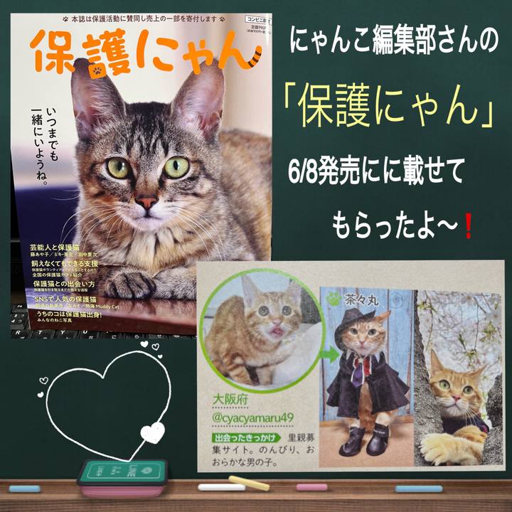 3348bed6 8fc3 4d23 afd4 7e8131c4b4dc 1686608040773