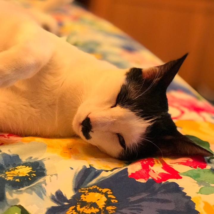 3348ce28 e00f 48a7 8b7f 313bfe423c98 1520306450404