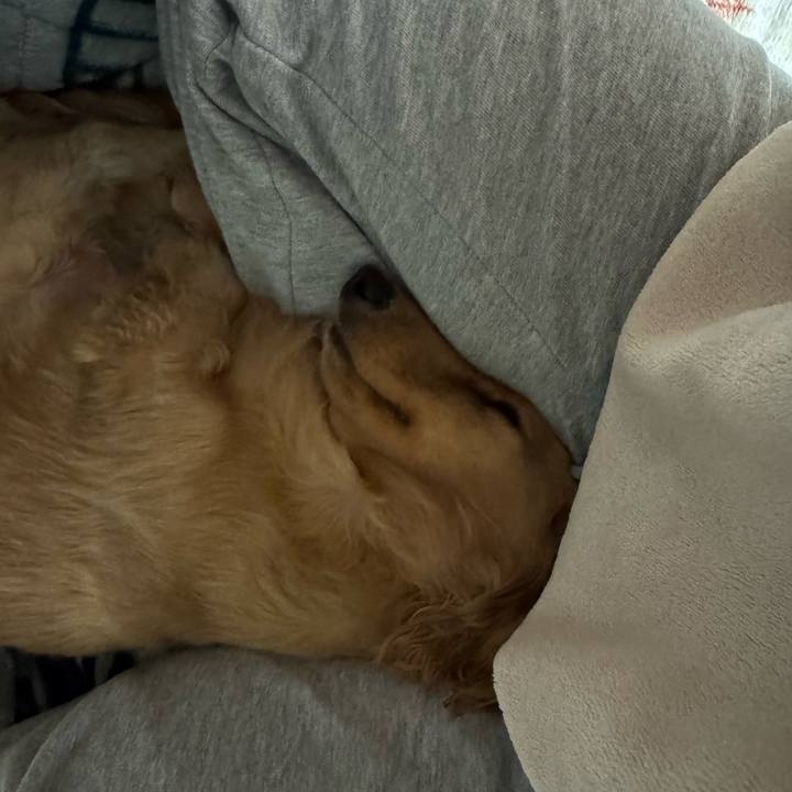 3348ead5 80c1 4814 8ed9 40cd4f947c4e 1732881261865