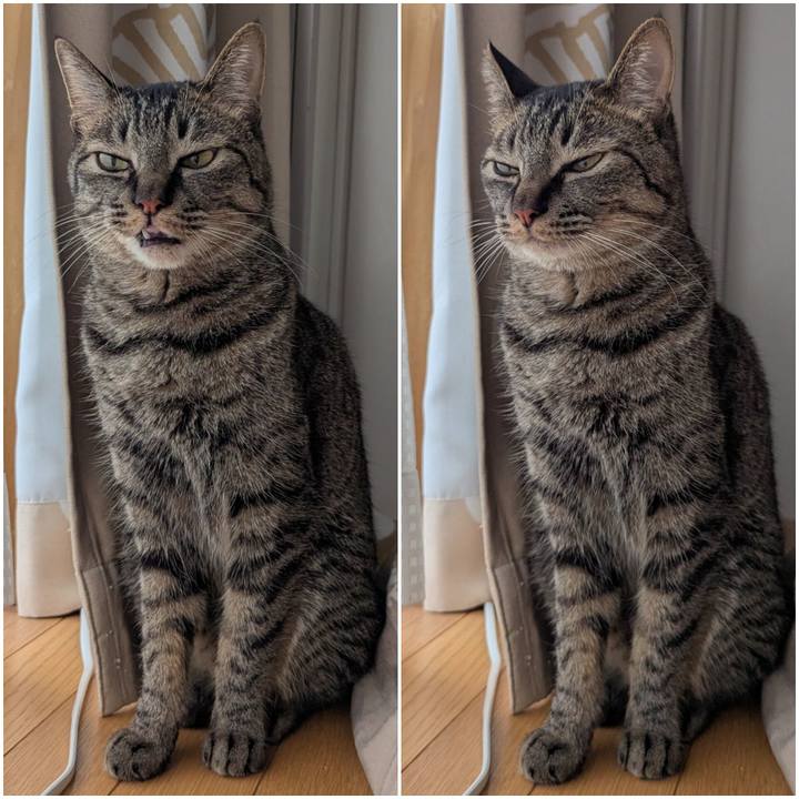 3348f117 8d9d 43d9 aef2 e239f2e3314a 1745492429454