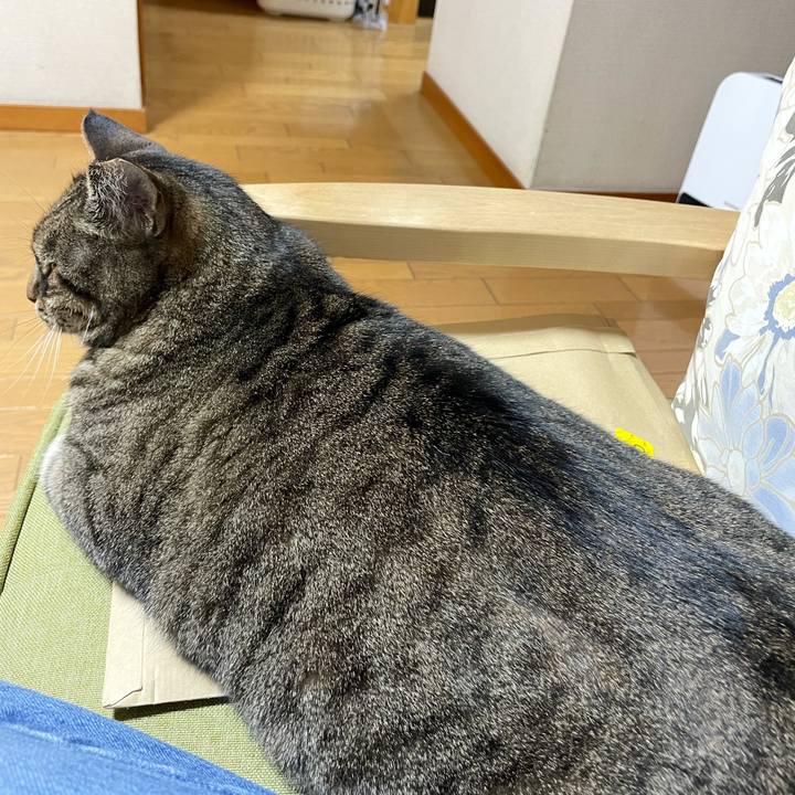 3348fc96 939f 4ed4 8252 e50349c3e1ba 1638600081154