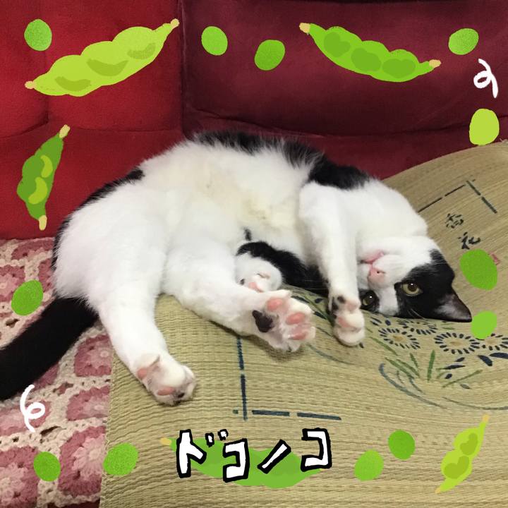 33492772 c4d1 4197 af6b b7dd1fc3cf21 1720786724020