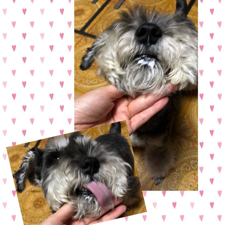 33492e4b d2c3 46ff b012 e91056a1c39f 1663912362008