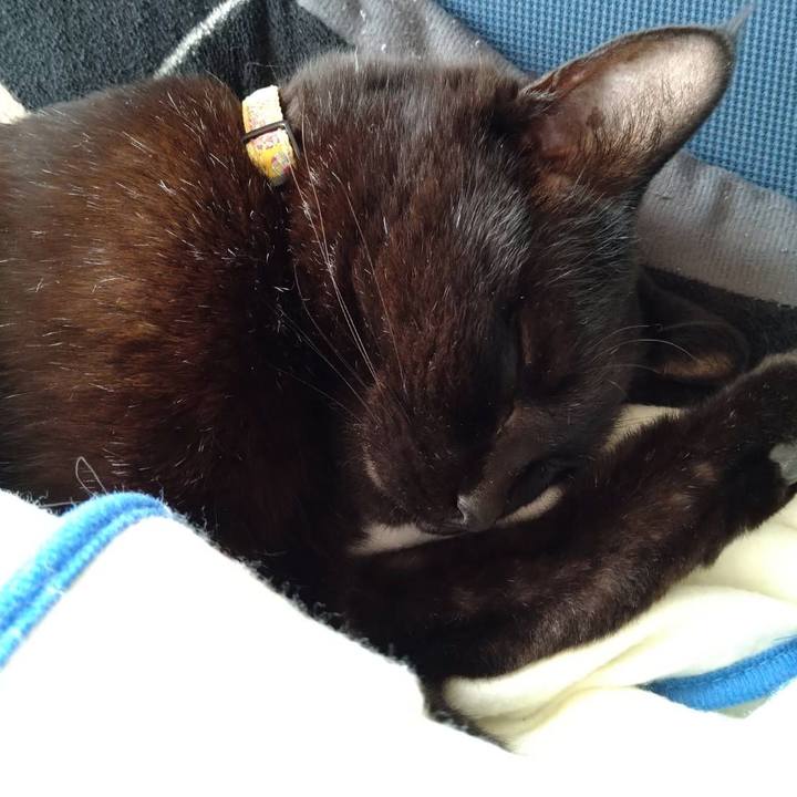 33494cf1 1849 4cb4 87c4 00b69e71a208 1651488229333