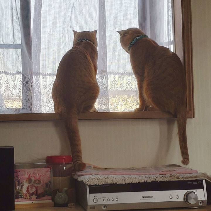 334989da 9b32 4f18 ac61 b34a69c5dd8d 1743066871289