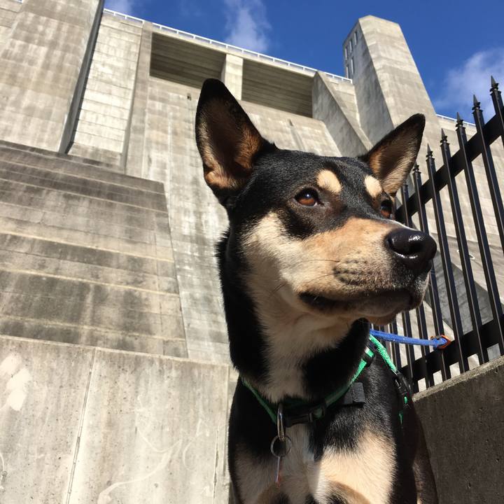 3349a51f 92d3 4bcb 9171 946143d41846 1513153445069