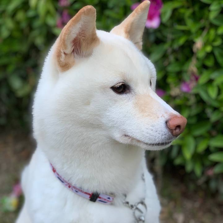 3349b61e 0d97 42b3 9a7c 354efbcb05fd 1557229222889