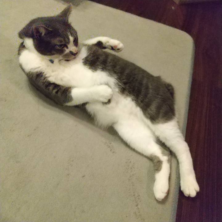 3349e364 f540 415c aa1f 146795f6bb68 1631624949840