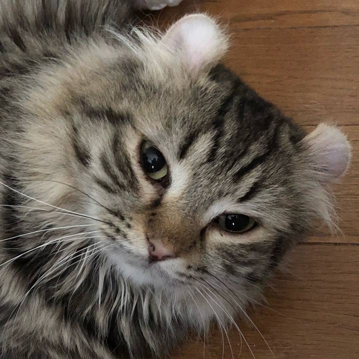 3349e6da 3ab3 45d3 bb07 5556bb9c07e3 1531580371707