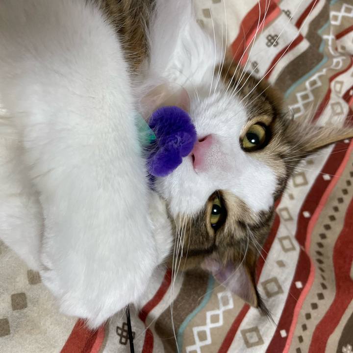 3349fbd9 7dd1 40fb 944a 5911154d0fb6 1648644379643