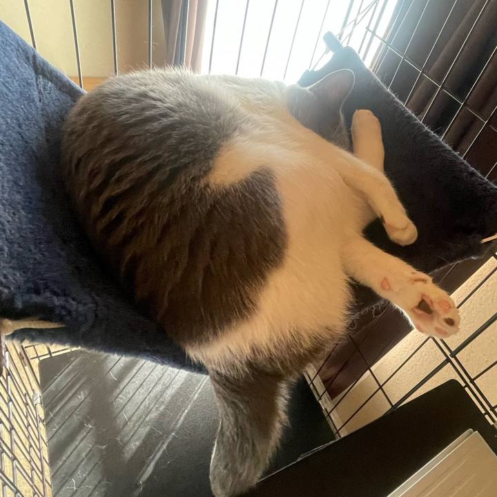 334a0d88 95ad 4269 b9ba 6cd3088c32ec 1675901520985