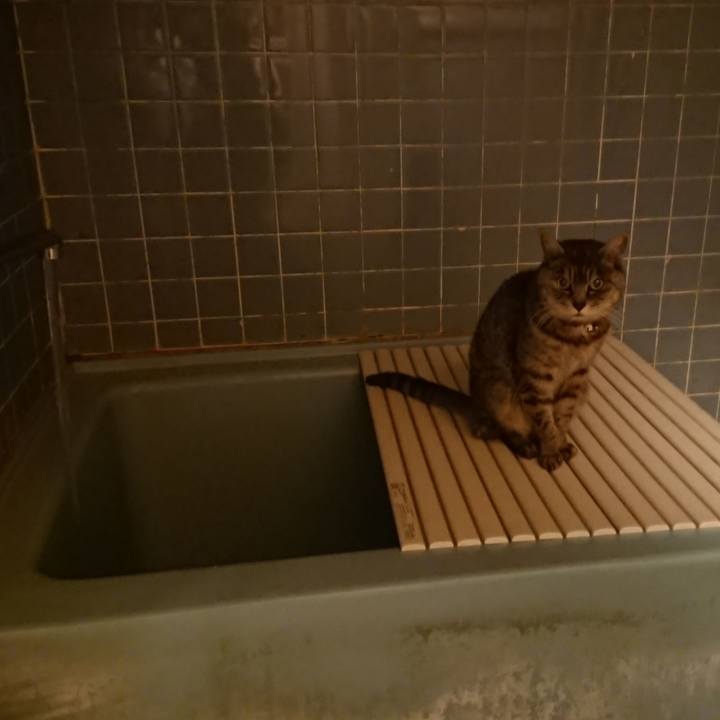 334a3288 1dd4 4496 b746 07fd0da27f81 1580202602173