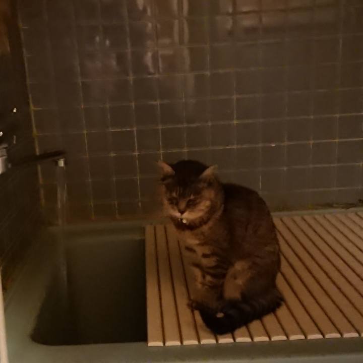 334a366f 20da 4034 a44d ca92a78c6d2d 1574154826638