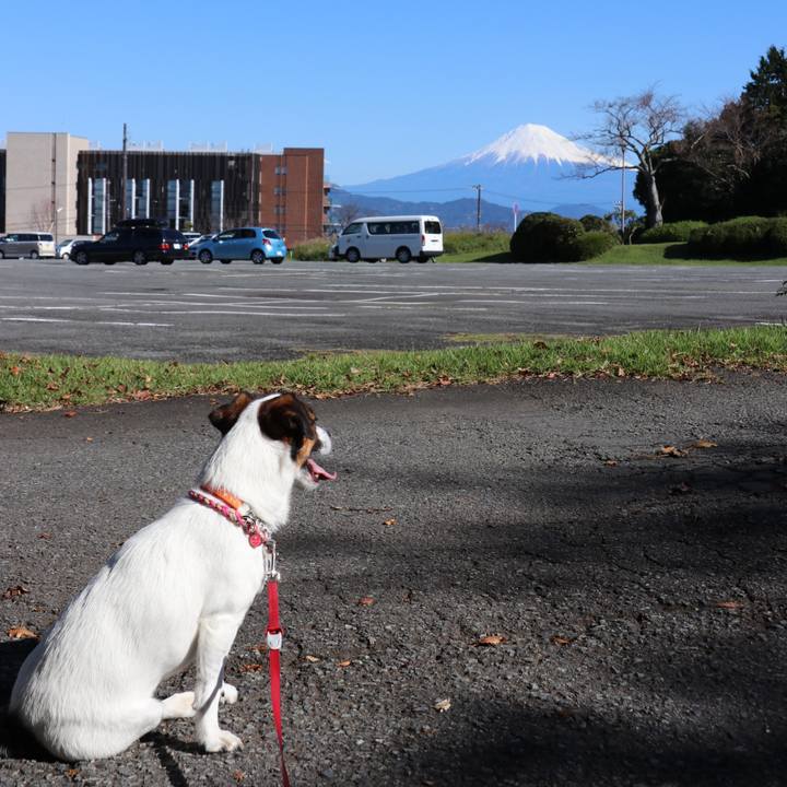 334a4726 c96e 4a46 afb4 667f768838a4 1540086512131