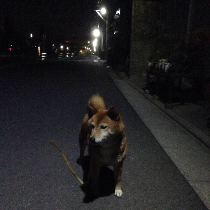 334a77d3 9c60 418f 8822 7f797fa25ed5 1521984654639