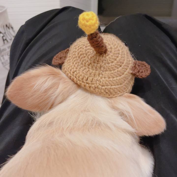 334a8173 c205 4b10 a7fd d302f7ba86de 1761223084579