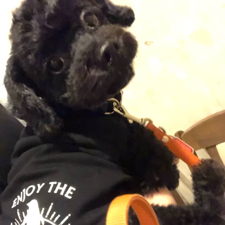 334ac150 8e0a 4f4e 9638 185cfa6d255c 1597415602235