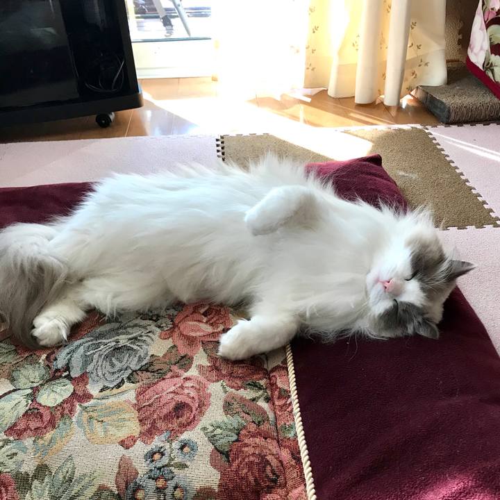 334ac715 cdcd 491c bd13 d0e916e4a4d8 1586304079842