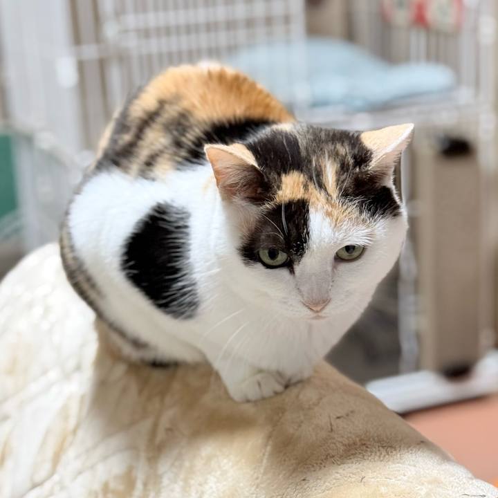 334ac9ca a3fd 4530 ab5b 944e4e3bc8c1 1773279854537