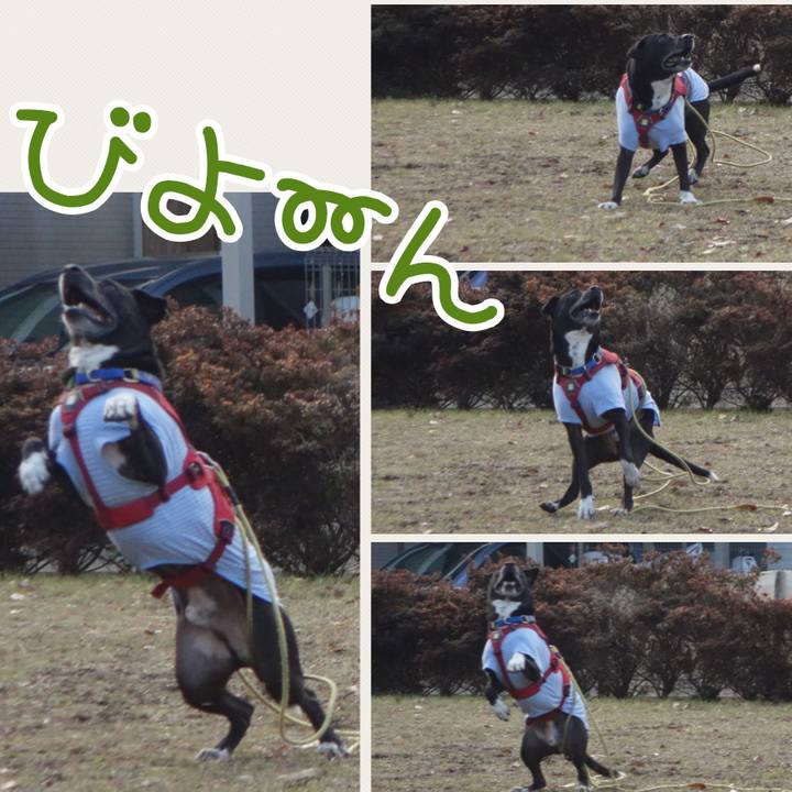 334aeac5 277e 4dac bb22 5595cd1c2473 1674005104098