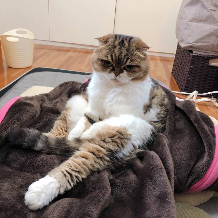 334af099 01a7 419f 986e c7e982955d83 1544157939762