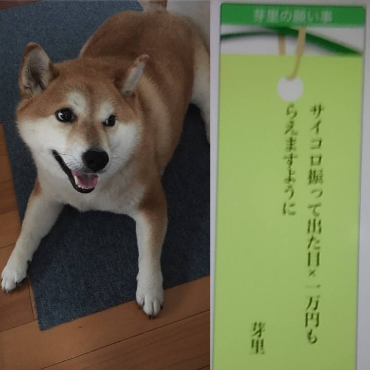 334b13a3 916c 429f b568 9dfb2c7a75e7 1594075015490