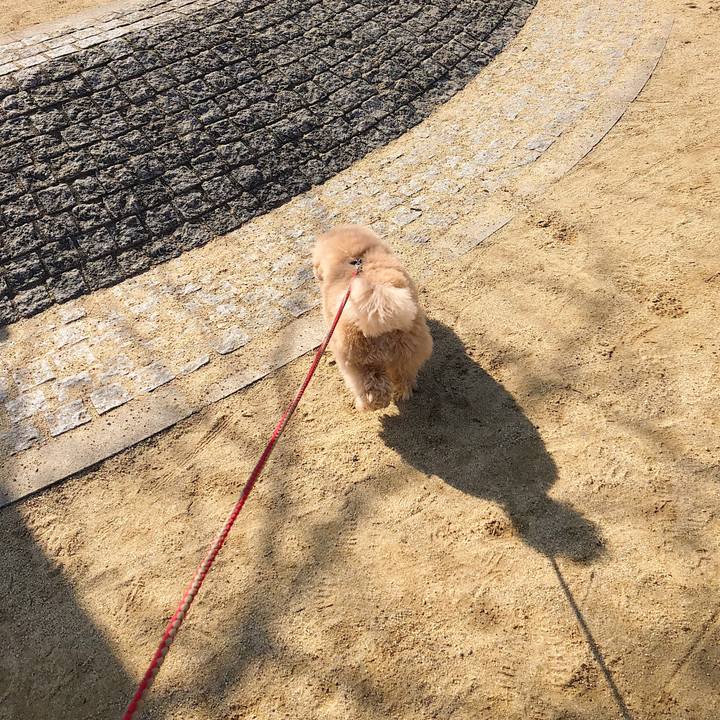 334b228e 92ab 4774 beaa 02446fad0de5 1517822199703