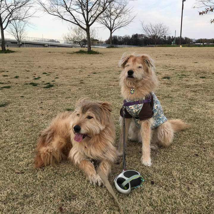 334b30b7 96cc 4a8c a61b 2c917b6aa47b 1552811882126