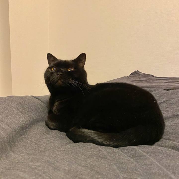 334b3b45 1c02 4411 aca3 c6ff64a6135c 1677850310718