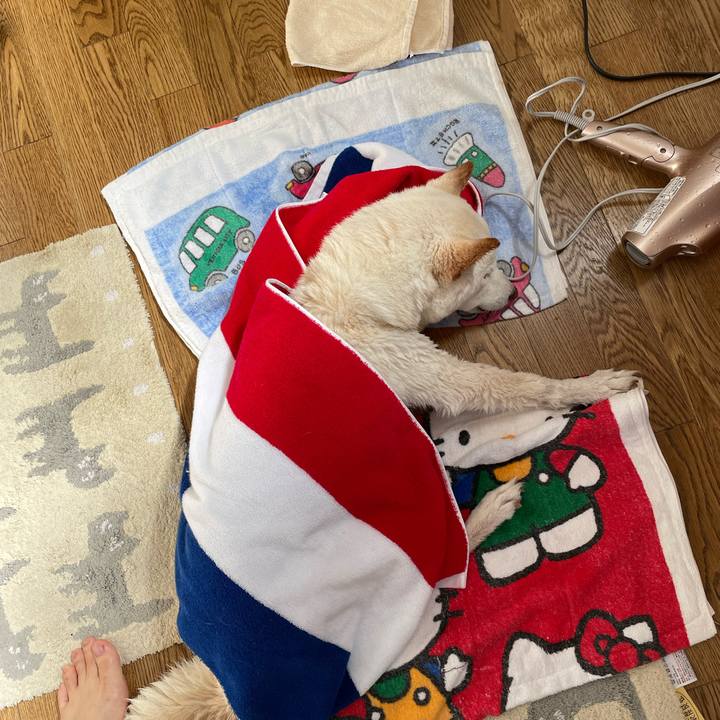 334b8176 1505 4084 8587 40a9625918c2 1650174734502