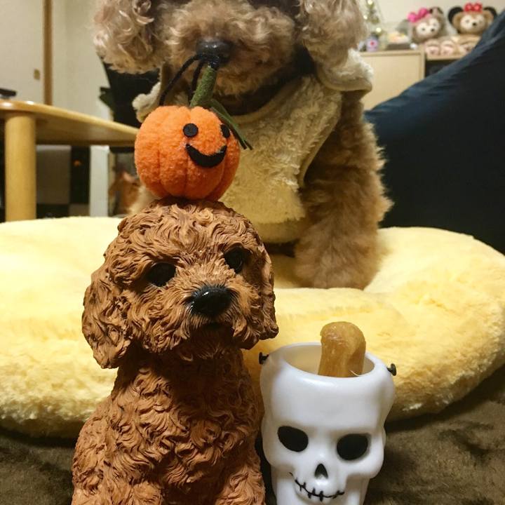 334bbdc3 3022 4a0e 984e 1aa9e705d88a 1539253627141