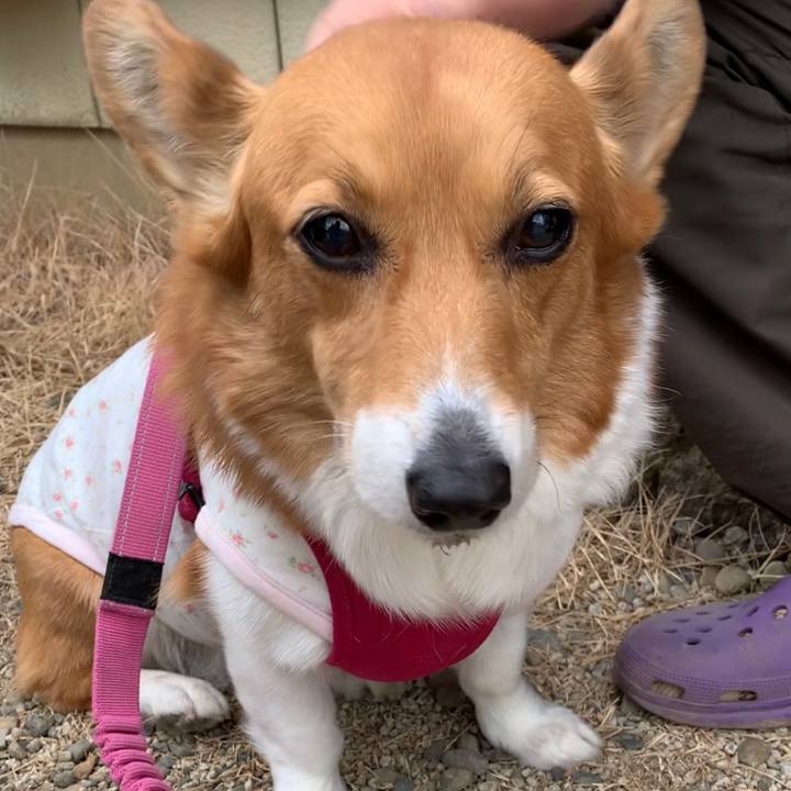 334c323e dd96 4233 b22e 0d52b72315ce 1673751985682