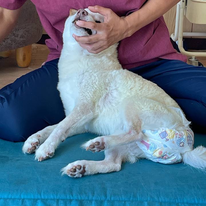 334c3d41 e2b5 4d6a a8d3 a6765439ff52 1663678883906