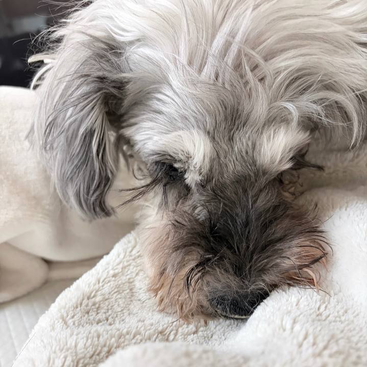 334c9707 8a7e 40c7 9ba8 4c57a399c8ec 1768912742715