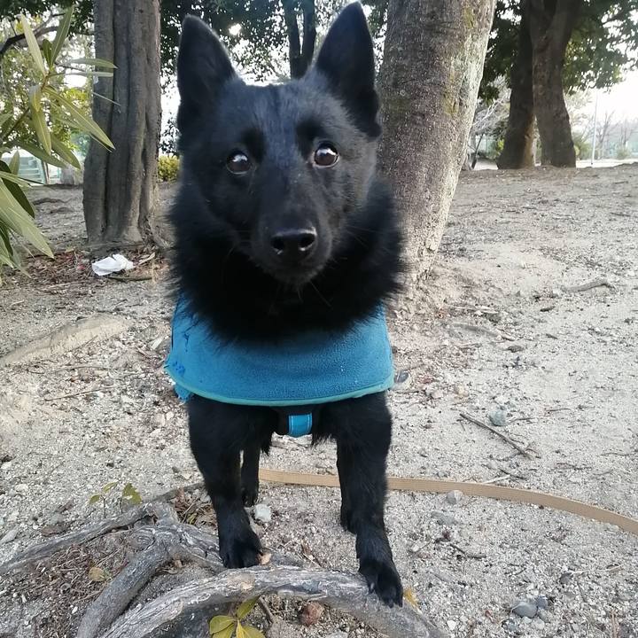 334c9796 ee01 4fc7 9256 f67fb728eb93 1645135433702