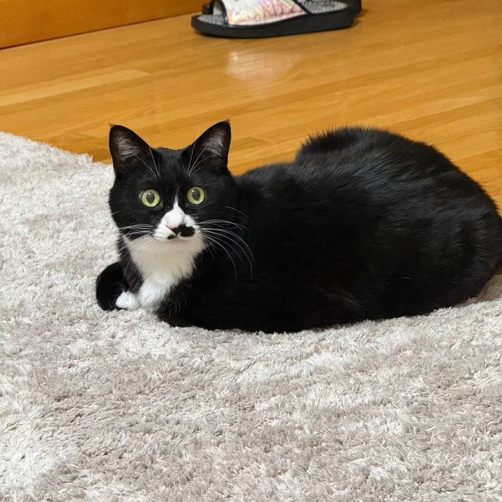 334c99d7 0b75 4144 aad3 21e9e3c60cac 1767104227045