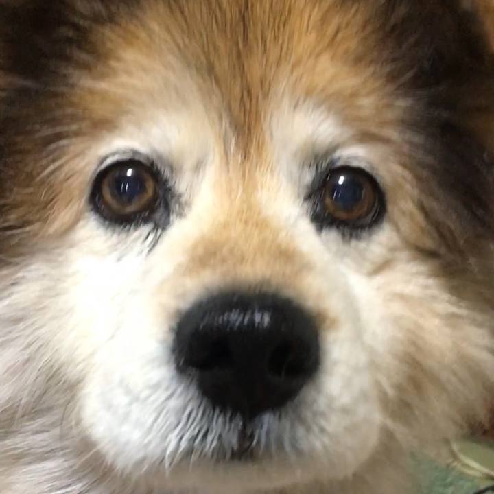 334cae81 295b 4a85 b7fe ad3a4d4ce37e 1562629938502