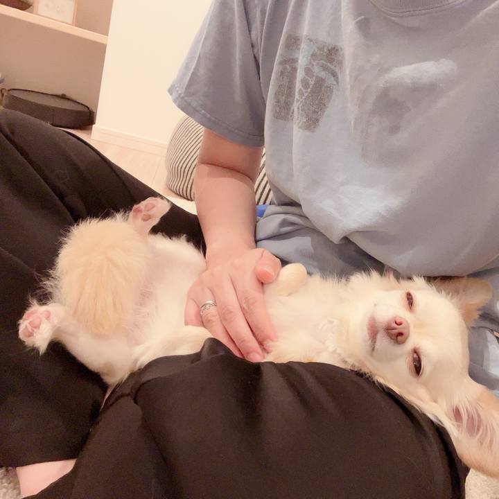 334d118d d734 4777 9087 828a28f95636 1718873484558