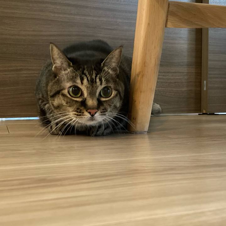 334d2180 f28c 482f b351 36e8eafd7667 1739250126287