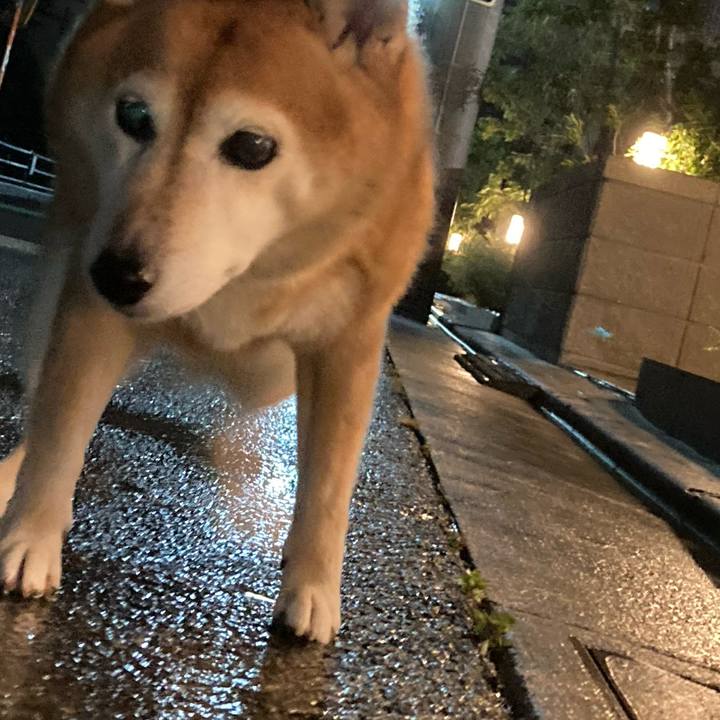 334d6f9d 9481 412e 8a4a beedea2f14c0 1696812633362