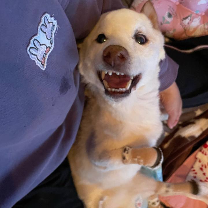 334d8e39 2c7f 43d1 87c2 b4f7fbe2290c 1679042832741