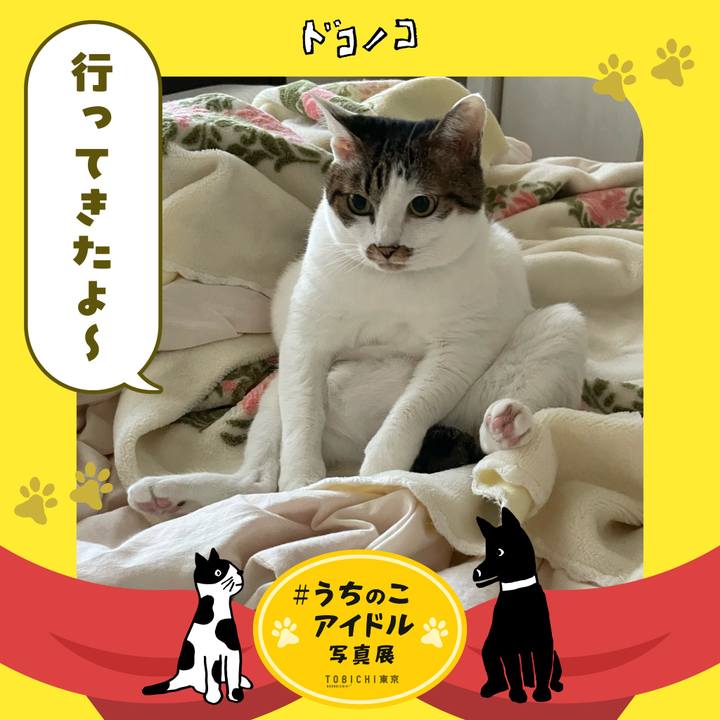 334dab41 aba5 4898 adb1 26fd7ce2693c 1761867587651