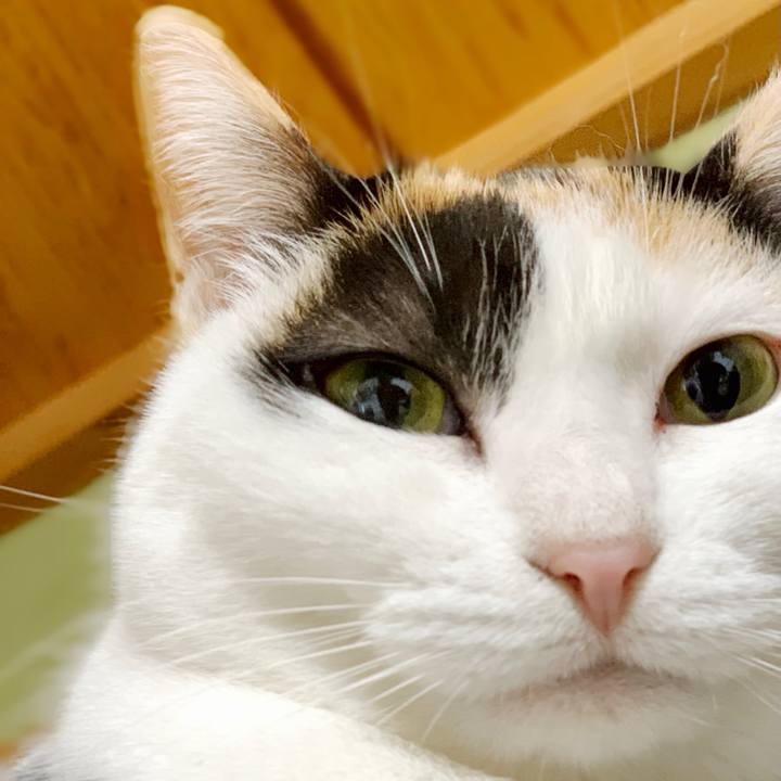 334dfd8f 56fe 4459 b3cd c2940112bee3 1551752514729