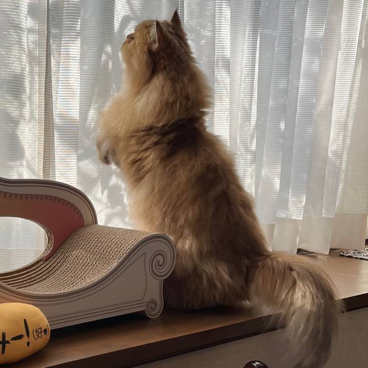 334dfe6d 88a9 4e26 9731 e105ea4fef2a 1639357913298