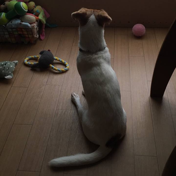 334dffca ddcc 4475 95ae cfb4daabbcc0 1507794170425