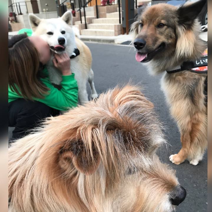 334e11bf 8b4e 4108 8fc9 192c48c202bb 1645530194578